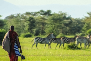 2-dniowe safari w Tanzanii: Ngorongoro i Tarangire