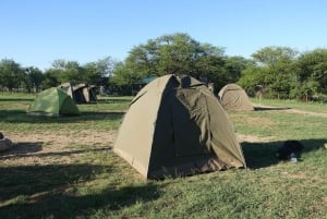 タンザニア北部ルート4日間乗り合いサファリツアー