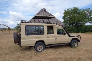 4 giorni in Tanzania meridionale Udzungwa e Mikumi NP