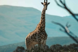 4 giorni in Tanzania meridionale Udzungwa e Mikumi NP