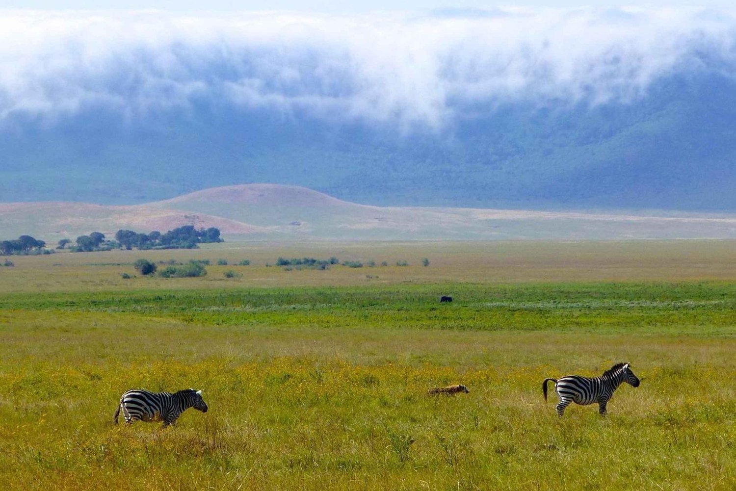 4-dagars budget-safari i Tanzania – Ngorongoro-kratern