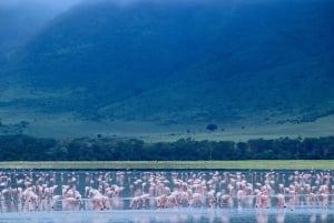4-Day Tanzania Safari: Tarangire, Ngorongoro With Pickup