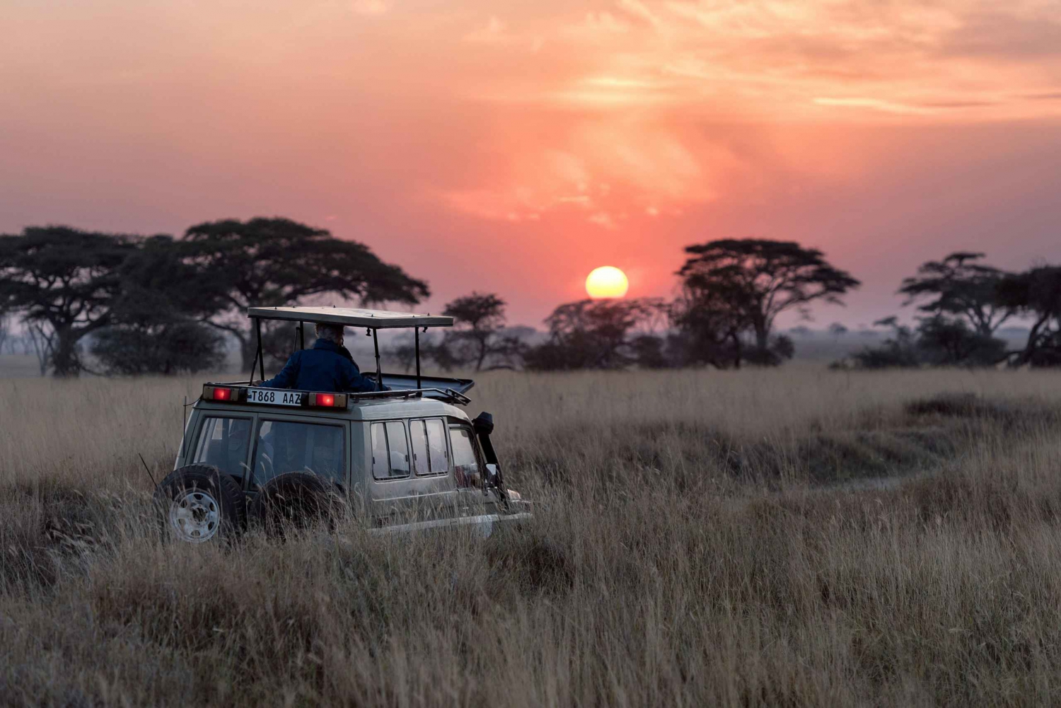 4-dniowe safari w Tanzanii do Ngorongoro, Serengeti i ...