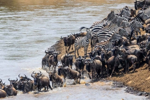 4 days 3 nights Serengeti national park