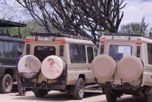 4 Days 3Nights, Mid-range Tanzania Wildlife Safari Itinerary