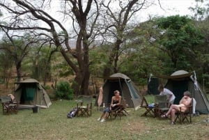 Arusha: 4 dagars safari i Tarangire, Serengeti & Ngorongoro