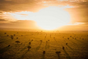 Arusha: 4 dagars safari i Tarangire, Serengeti & Ngorongoro