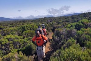 4-tägige Kilimandscharo-Besteigung: Marangu Private Tour