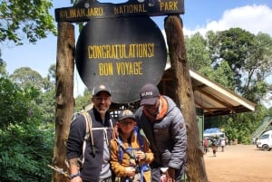 4-tägige Kilimandscharo-Besteigung: Marangu Private Tour