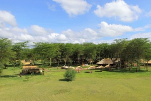 4-dniowe luksusowe safari