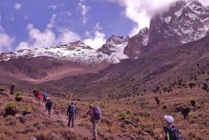 4日間のケニア山登山とハイキング遠征：シリモンルート