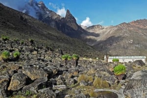 4日間のケニア山登山とハイキング遠征：シリモンルート