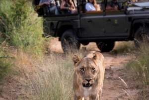 4 Days Nyerere national park and mikumi national park