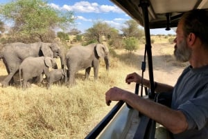 4 Days Private Luxury Safari to Serengeti and Ngorongoro