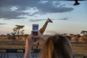 4 Days Private Luxury Safari to Serengeti and Ngorongoro