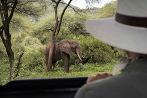 4 Days Private Luxury Safari to Serengeti and Ngorongoro
