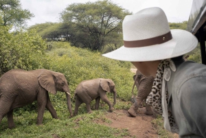 4 Days Private Luxury Safari to Serengeti and Ngorongoro
