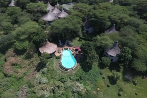 4 Days Private Luxury Safari to Serengeti and Ngorongoro