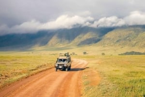 4 Days Private Luxury Safari to Serengeti and Ngorongoro
