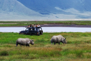 4 Days Private Luxury Safari to Serengeti and Ngorongoro