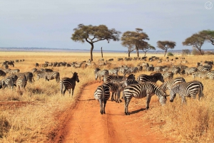 Safari en grupo de 4 días por Tarangire, Ngorongoro y Serengeti