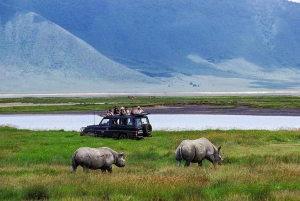 4 dages safari med Tarangire, Ngorongoro og Serengeti-gruppen