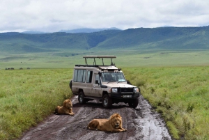 4 dager med gruppesafari i Tarangire, Ngorongoro og Serengeti