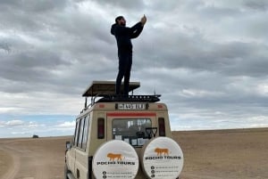 Arusha: 4 dagars safari i Tarangire, Serengeti & Ngorongoro