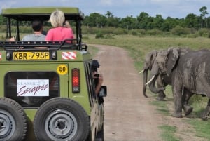4 Days Serengeti, Ngorongoro & Lake Manyara Exploration