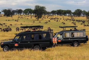 Safari en groupe de 4 jours au Serengeti, Ngorongoro et Tarangire