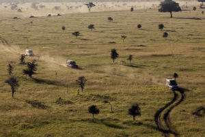 4 dagars gruppsafari i Serengeti, Ngorongoro och Tarangire
