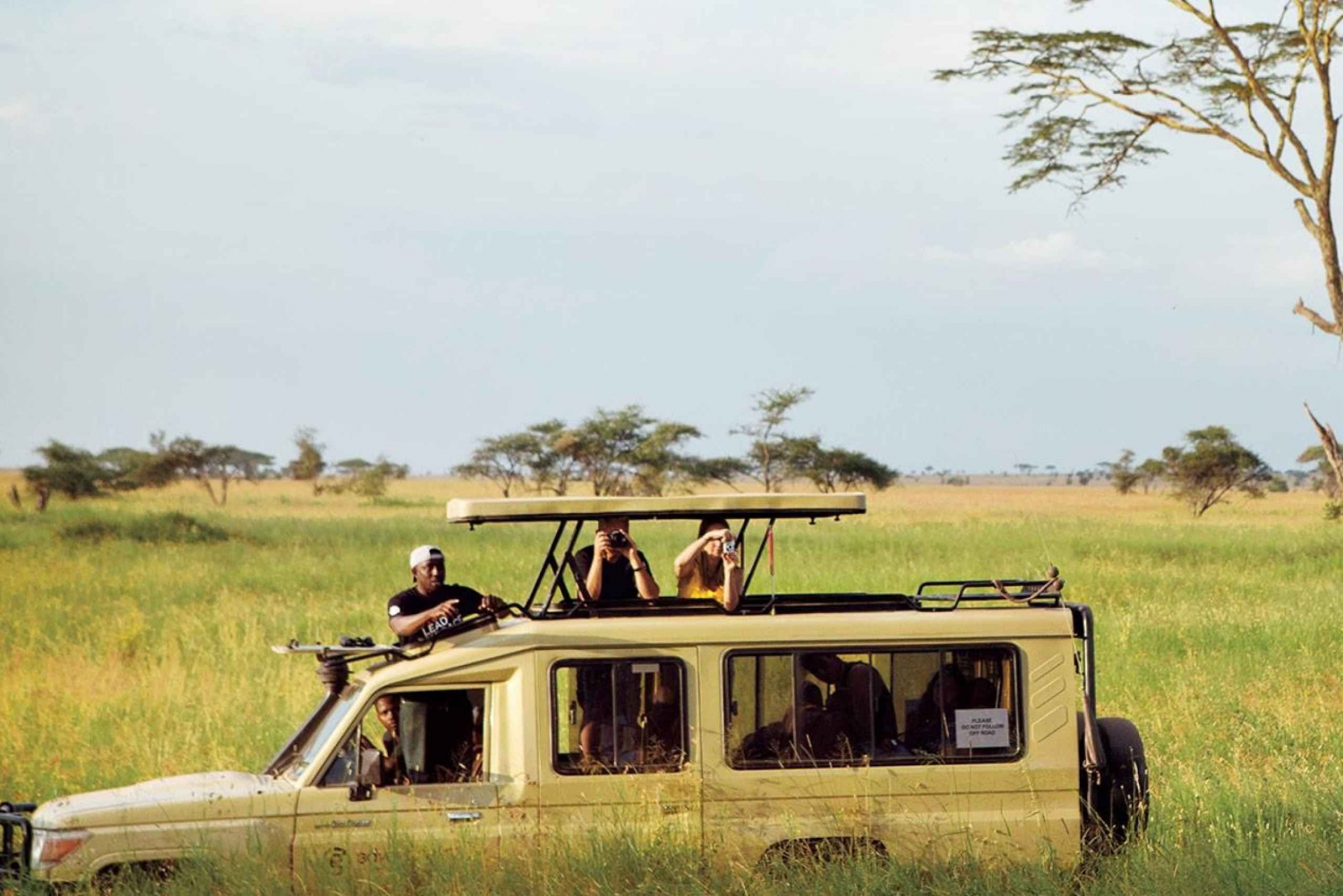 4-dages ultimativ campingsafari i Tanzania