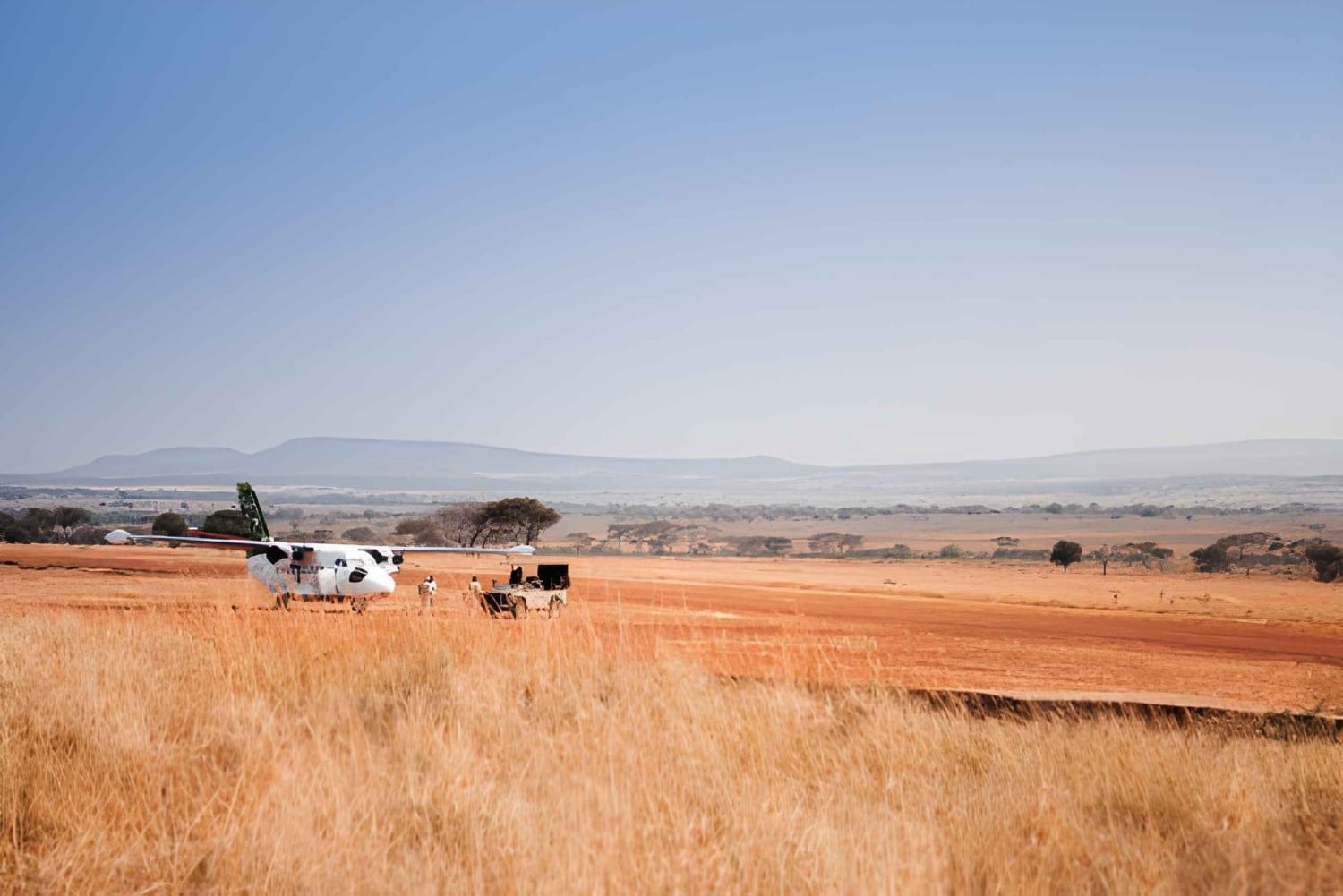 Séjour safari de 4 jours en Tanzanie à Noël et au Nouvel An