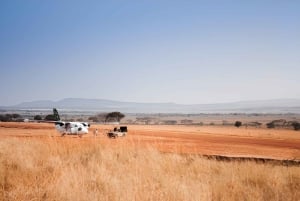 Séjour safari de 4 jours en Tanzanie à Noël et au Nouvel An