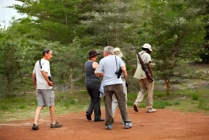 Séjour safari de 4 jours en Tanzanie à Noël et au Nouvel An
