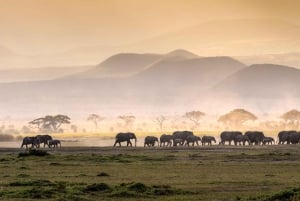 4 Days Tarangire, Serengeti, Ngorongoro Mid-range Safari