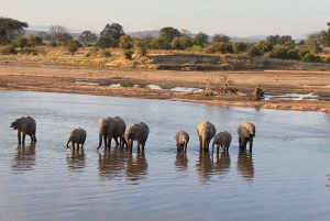 4 дня сафари на средние расстояния в Тарангире, Серенгети и Нгоронгоро