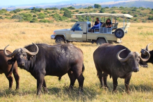 4Dages Masai Mara og Lake Nakuru Safari på 4x4 Land Cruiser