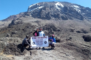 5 dias para você se juntar ao grupo do kilimanjaro pela rota marangu