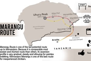 5-tägige Besteigung des Kilimandscharo über die Marangu-Route