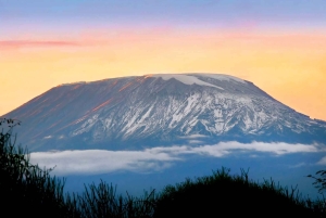 5-dagers bestigning av Kilimanjaro, Marangu-ruten