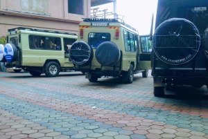 Safari di 5 giorni Tarangire, Serengeti, Ngorongoro e Manyara Unisciti a noi