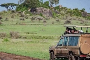 Safari di 5 giorni Tarangire, Serengeti, Ngorongoro e Manyara Unisciti a noi
