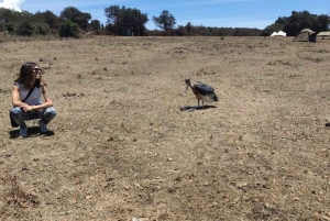 Safari di 5 giorni Tarangire, Serengeti, Ngorongoro e Manyara Unisciti a noi