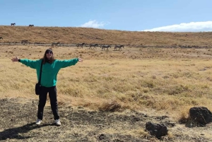 Safari di 5 giorni Tarangire, Serengeti, Ngorongoro e Manyara Unisciti a noi