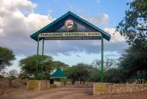 Safari di 5 giorni Tarangire, Serengeti, Ngorongoro e Manyara Unisciti a noi