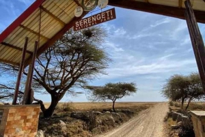 Safari di 5 giorni Tarangire, Serengeti, Ngorongoro e Manyara Unisciti a noi