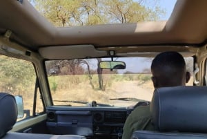 5-dagers prisgunstig gruppesafari i Tanzania med ekstra aktiviteter