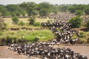 Safari di gruppo di 5 giorni in Tanzania con attività aggiuntive