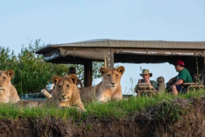 Safari familiar de 5 días en Tanzania - Meilleur Tours Tanzania